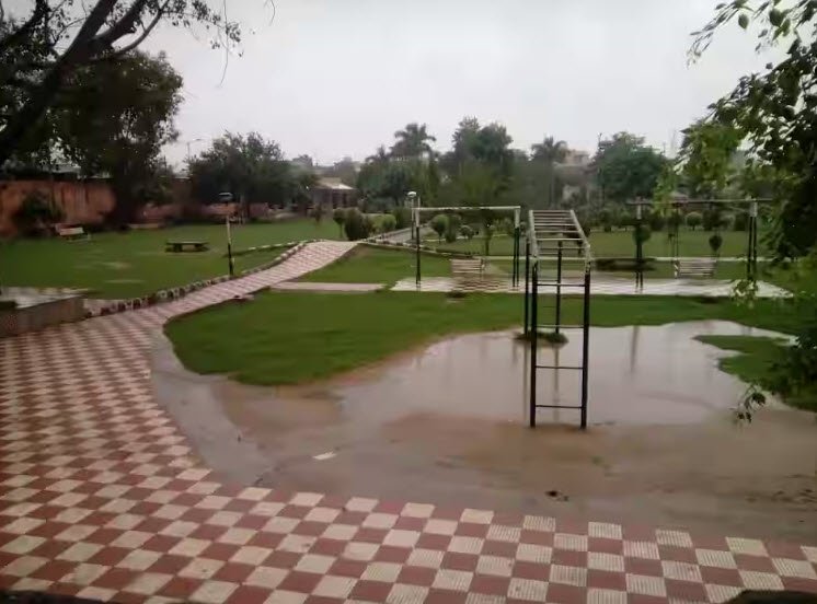 Rose Garden (Puran Nagar), Charkhi Dadri, Haryana - Vushii.com Rose Garden (Puran Nagar), Charkhi Dadri, Haryana - Vushii.com